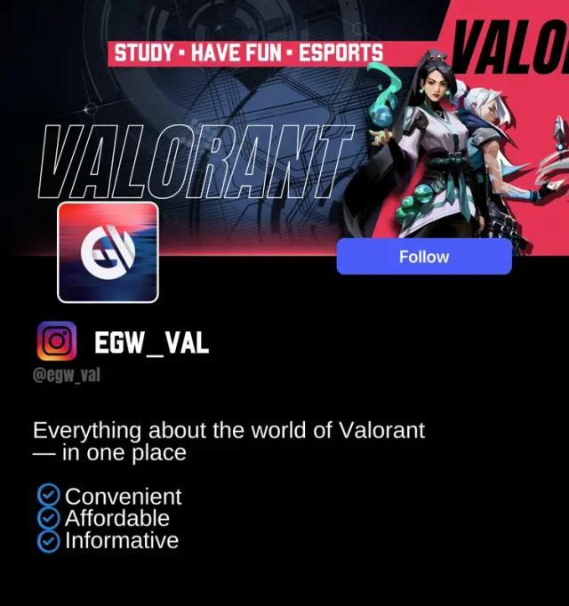 instagram_valorant