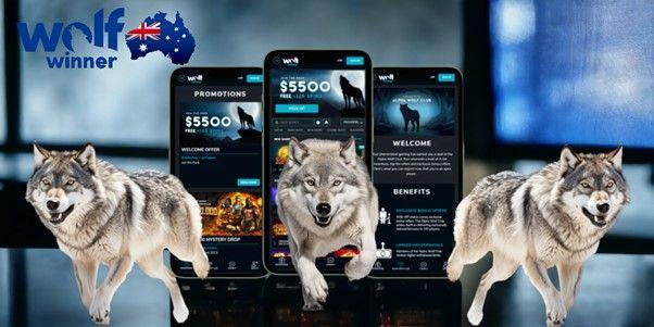 Algumas informações sobre o Wolf Winner Casino AU