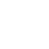 Aorus Vision