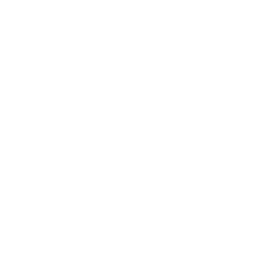 Ion Squad