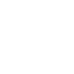 Feint Gaming(valorant)