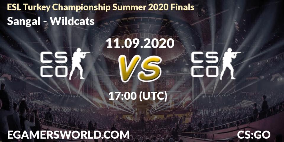 Pronósticos Sangal - Wildcats. 11.09.2020 at 17:00. ESL Turkey Championship Summer 2020 Finals - Counter-Strike (CS2)