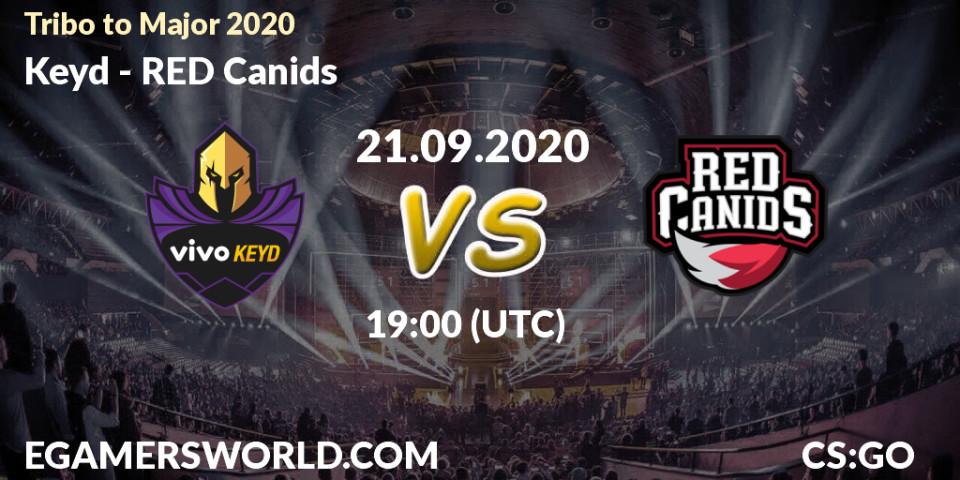 Pronósticos Keyd - RED Canids. 21.09.2020 at 19:00. Tribo to Major 2020 - Counter-Strike (CS2)