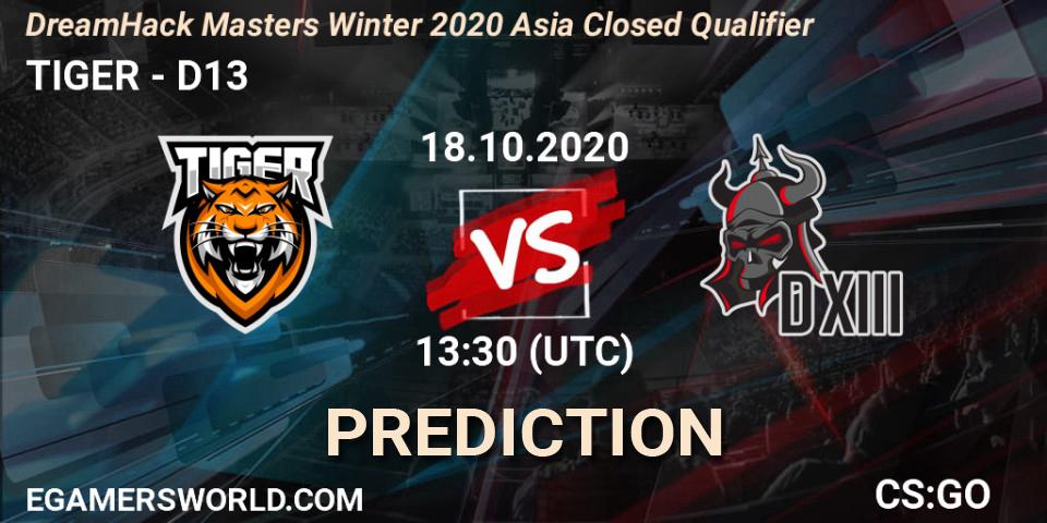 Pronósticos TIGER - D13. 18.10.2020 at 13:30. DreamHack Masters Winter 2020 Asia Closed Qualifier - Counter-Strike (CS2)