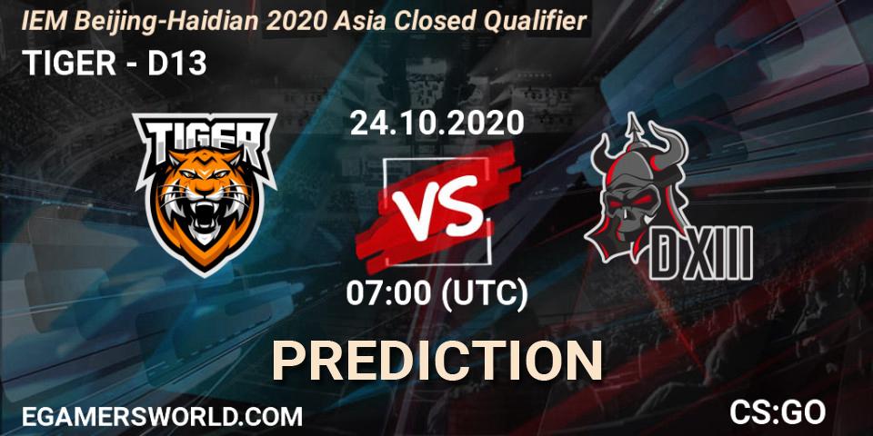 Pronósticos TIGER - D13. 24.10.2020 at 07:00. IEM Beijing-Haidian 2020 Asia Closed Qualifier - Counter-Strike (CS2)
