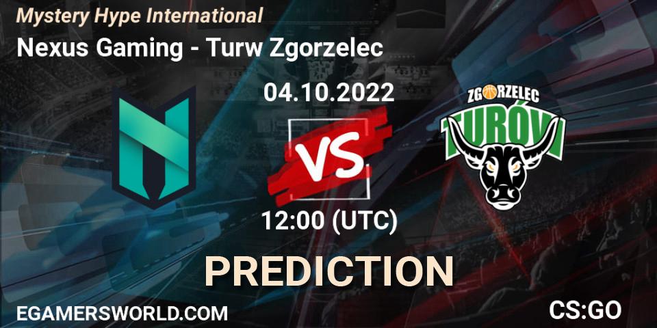 Pronósticos Nexus Gaming - Turów Zgorzelec. 04.10.2022 at 12:00. Mystery Hype International - Counter-Strike (CS2)