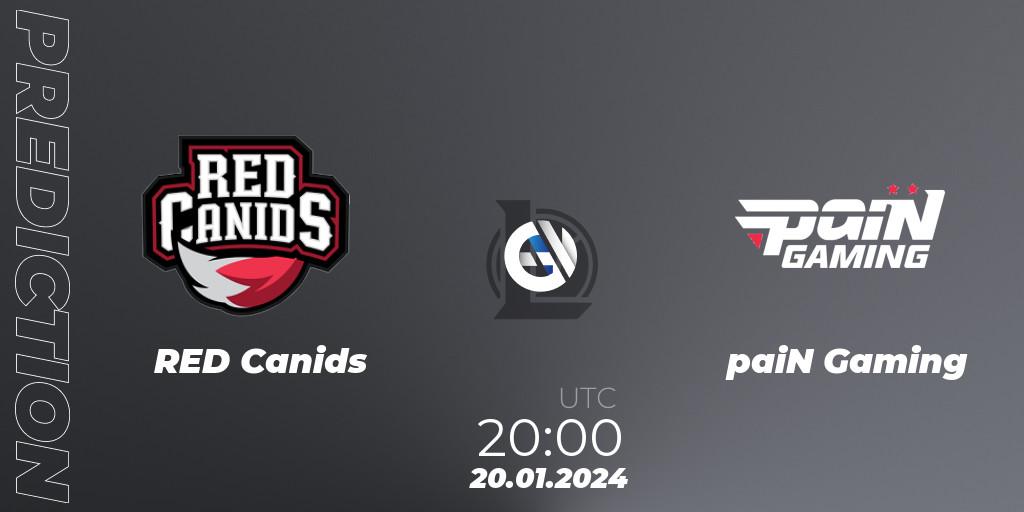 Pronósticos RED Canids - paiN Gaming. 20.01.24. CBLOL Split 1 2024 - Group Stage - LoL