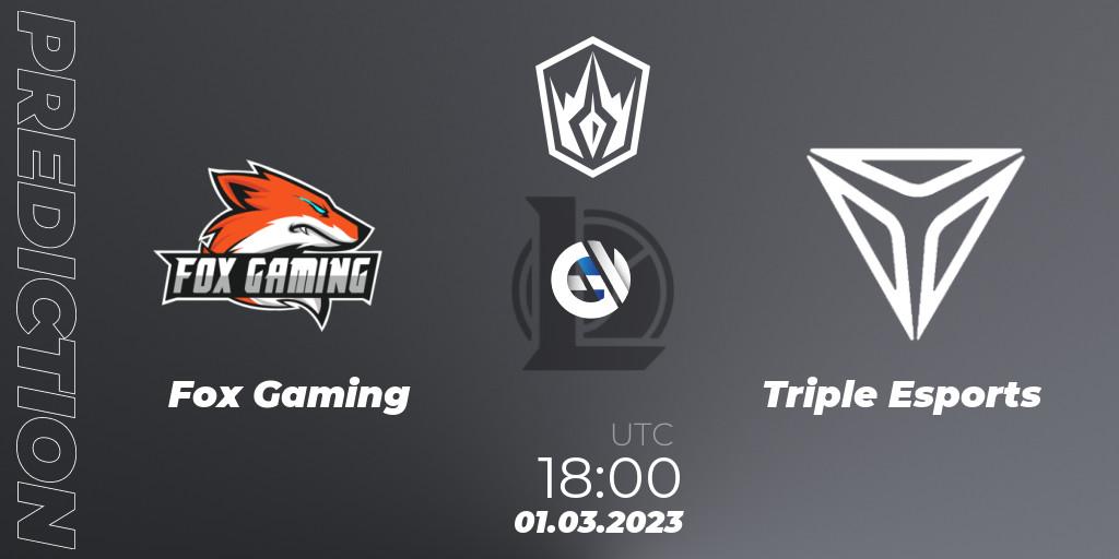 Pronósticos Fox Gaming - Triple Esports. 01.03.2023 at 18:30. Arabian League Spring 2023 - LoL
