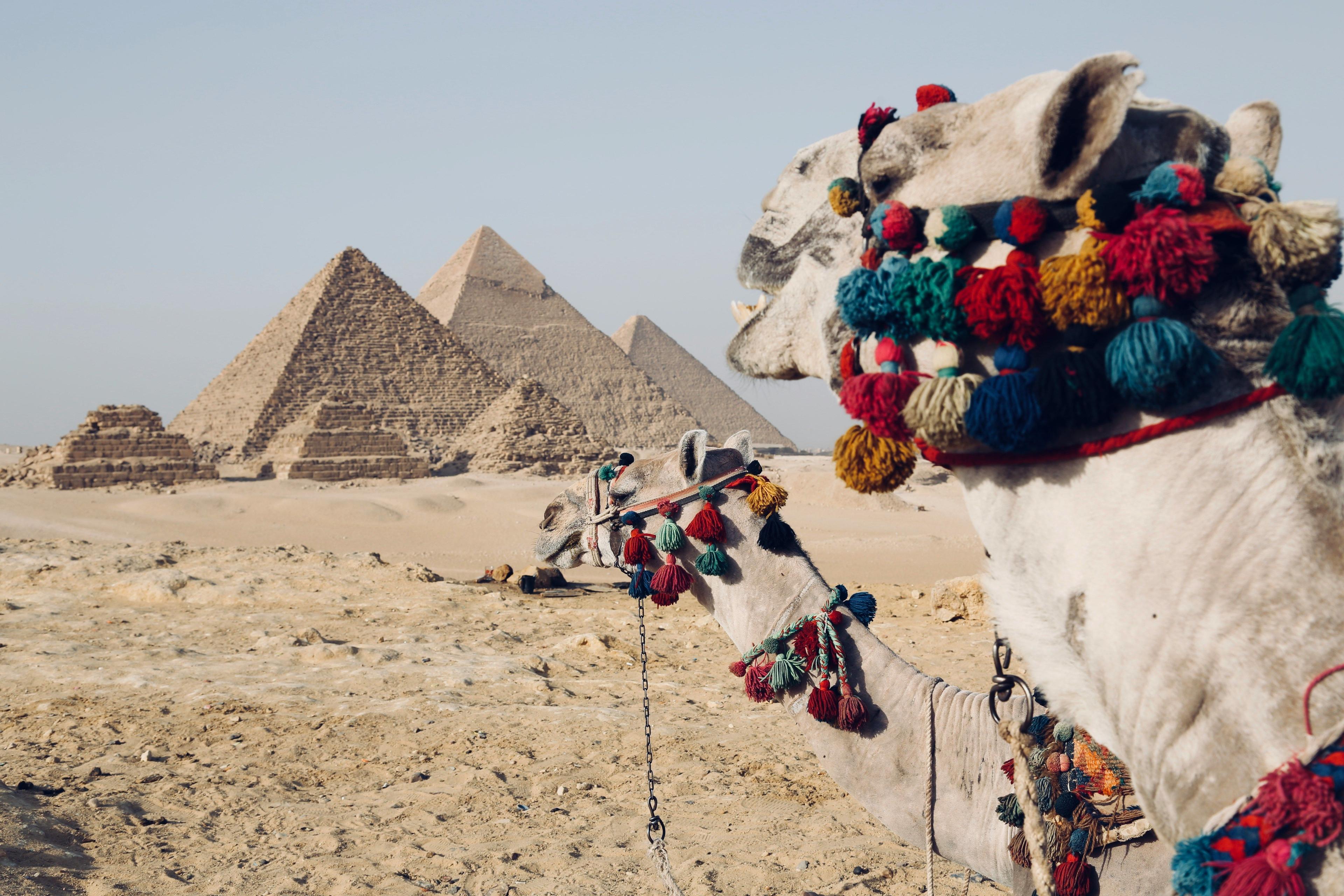 Entre os Faraós: Os melhores jogos sobre o Egipto