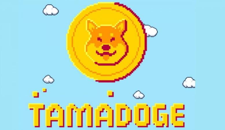 Tamadoge — outra tentativa de hype em Dogecoin ou uma grande novidade no mundo dos jogos NFT-?