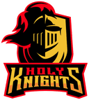 Holy Knights E-Sports (counterstrike)