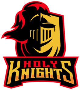 Holy Knights E-Sports
