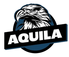 OOE Aquila(counterstrike)