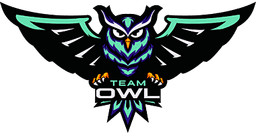 Team OWL(counterstrike)