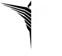 ArkAngel (dota2)