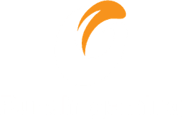 Punch Gaming(dota2)