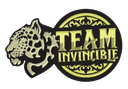 Team Invincible (dota2)