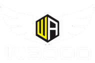 Team Waooo(dota2)
