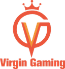 Virgin Gaming (dota2)