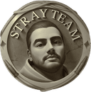 Stray Team (dota2)