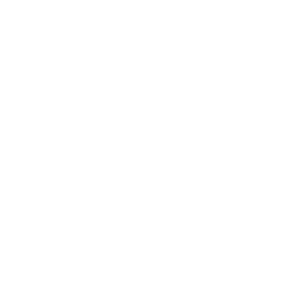Invictus Gaming(hearthstone)