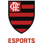 Flamengo Esports Academy
