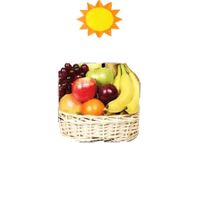 Super Sunshine Fruit Basket Warriors