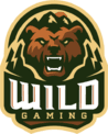 Wild Gaming (pubg)