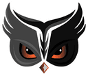 OWL Esports (rocketleague)