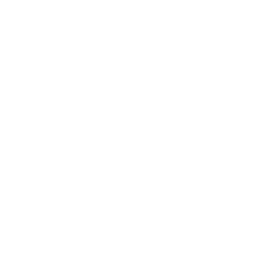 Arabian League Summer 2023 - Playoffs