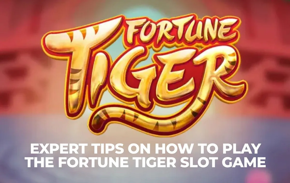 Dicas de especialistas sobre como jogar o jogo de slot Fortune Tiger - Blog  de esportes e jogos de computador